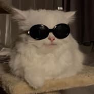 Avatar of player вишнёвый пирожок