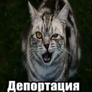Avatar of player играешь стандоф?