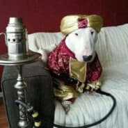 Avatar of player ПЭПС