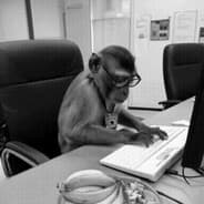 Avatar of player ♿ braindead monkey