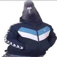 Avatar of player Keeper of the cock