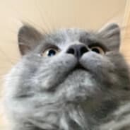 Avatar of player Брунька🌱