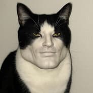 Avatar of player epstein cellmate