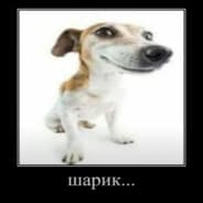 Avatar of player хуй