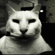 Avatar of player durov mindset