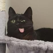 Avatar of player мрвра вьцш щььь