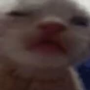 Avatar of player allmuted