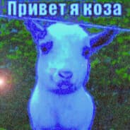 Avatar of player 55 iq gaemr
