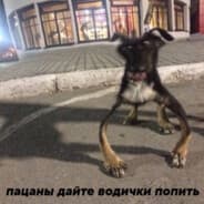 Avatar of player bitochek ypal